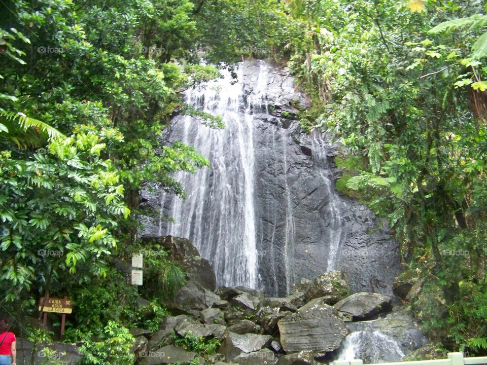 Waterfall at El Yunque Puerto Rico