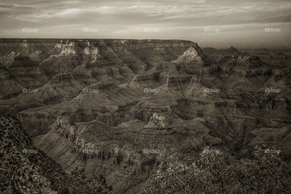 Looking into Grand Canyon 
