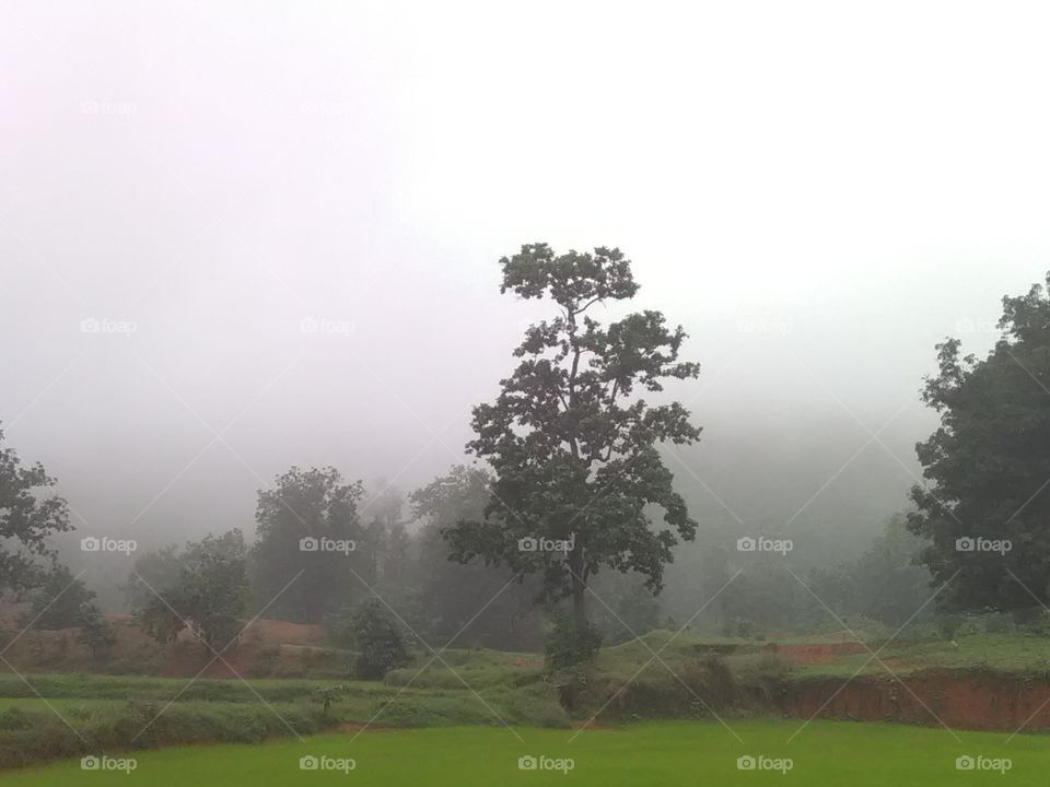 Clowedy rainy season on ground of Rampur.