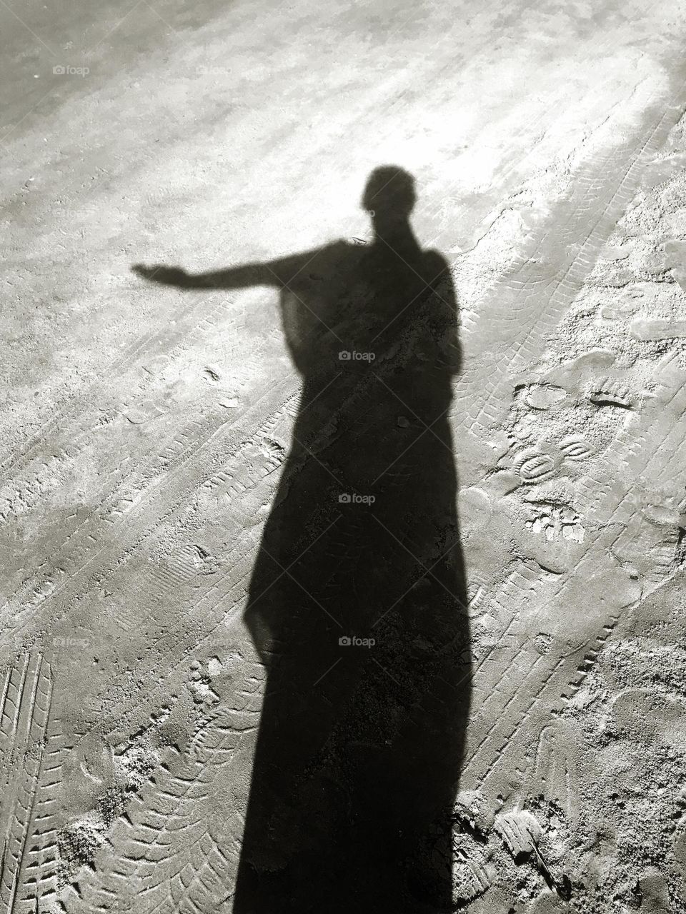 you can only know a sunny day through shadow