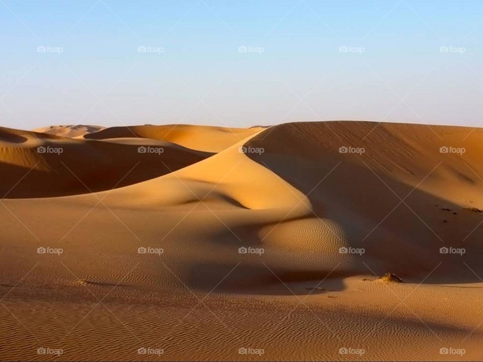 sahara ouarzazate morroco