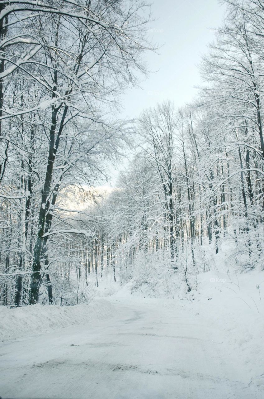 Snowy road