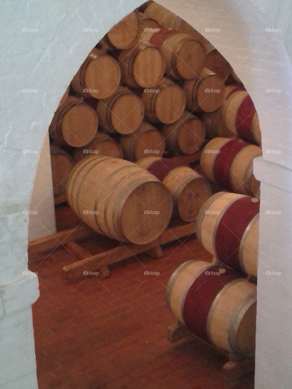 barrels of wine