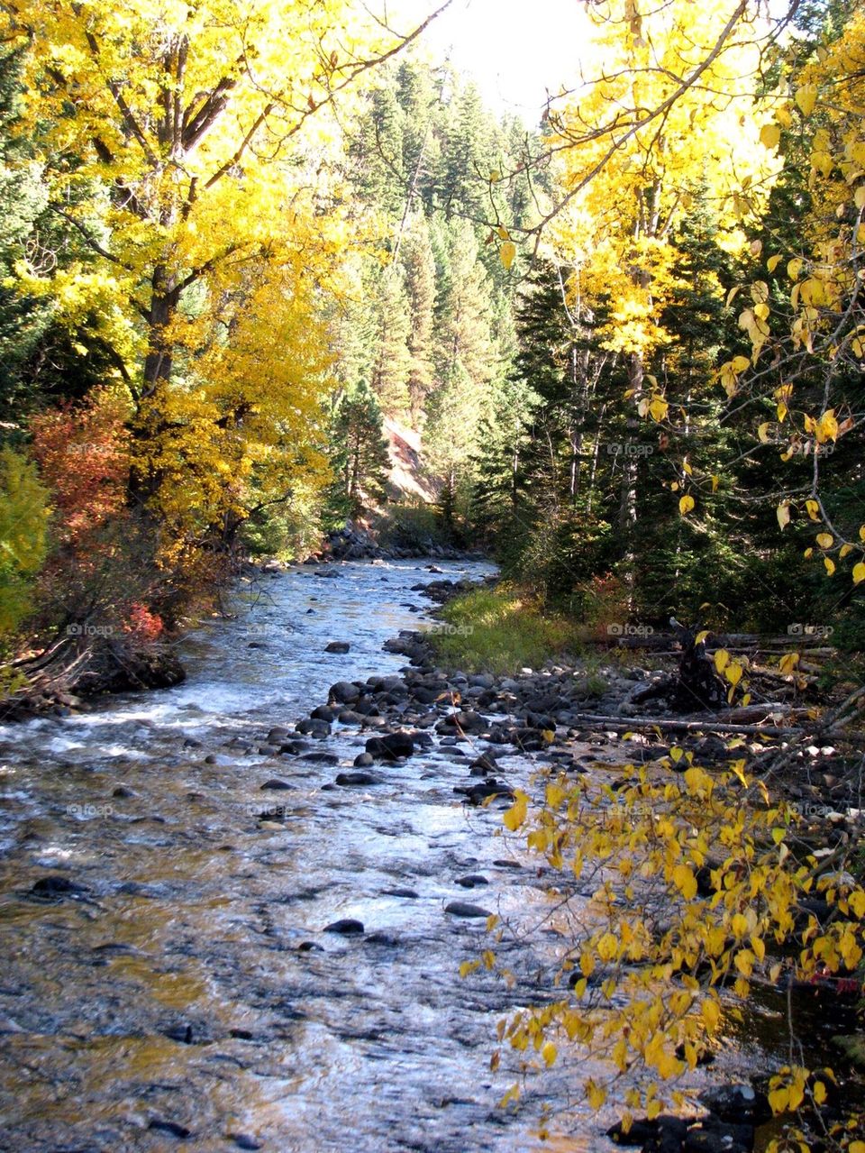 River in Fall