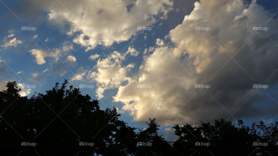 clouds and trees