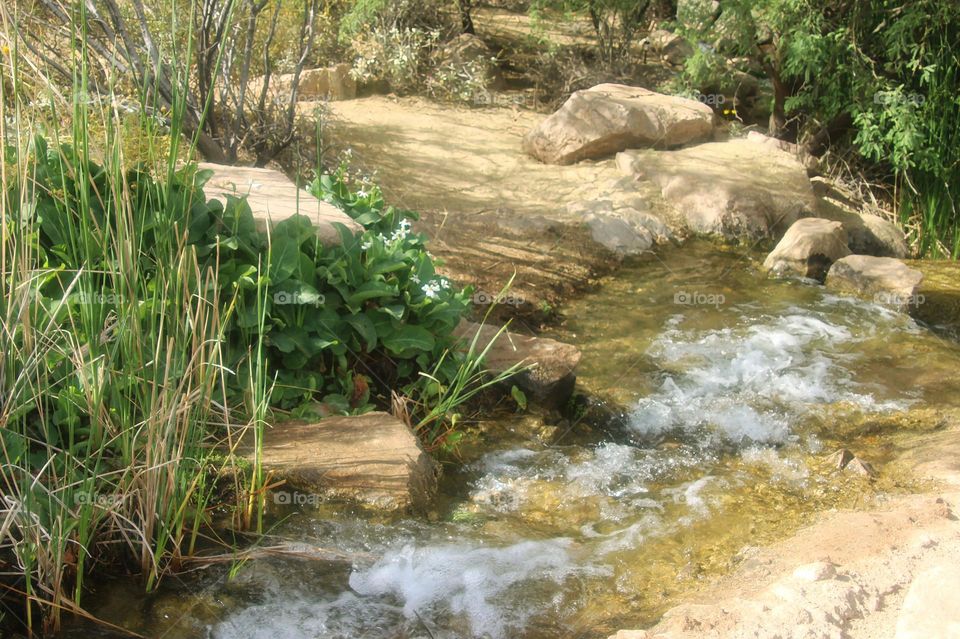 Water is Life in Desert