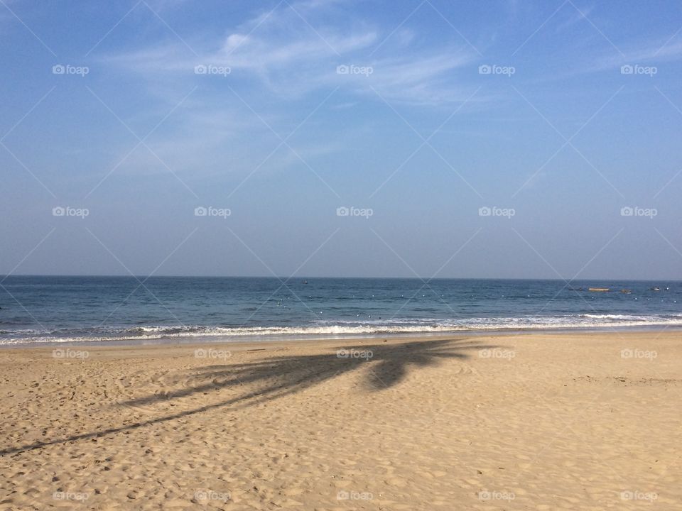 Shadow of coconut tree on sandy beach in summertime