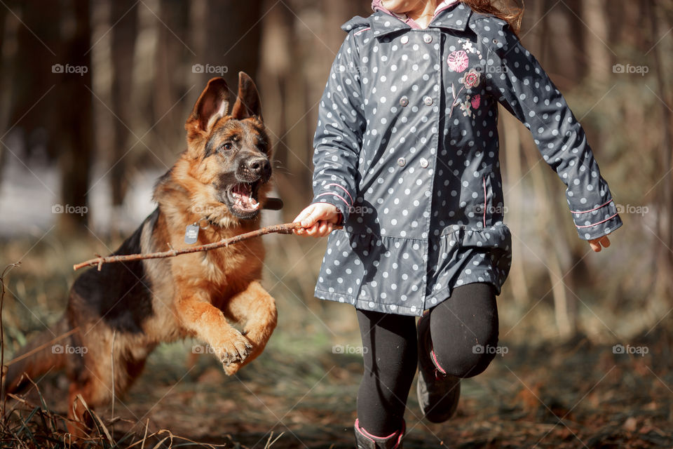 Girl playing with German shepherd puppy in a spring forest at sunny day 