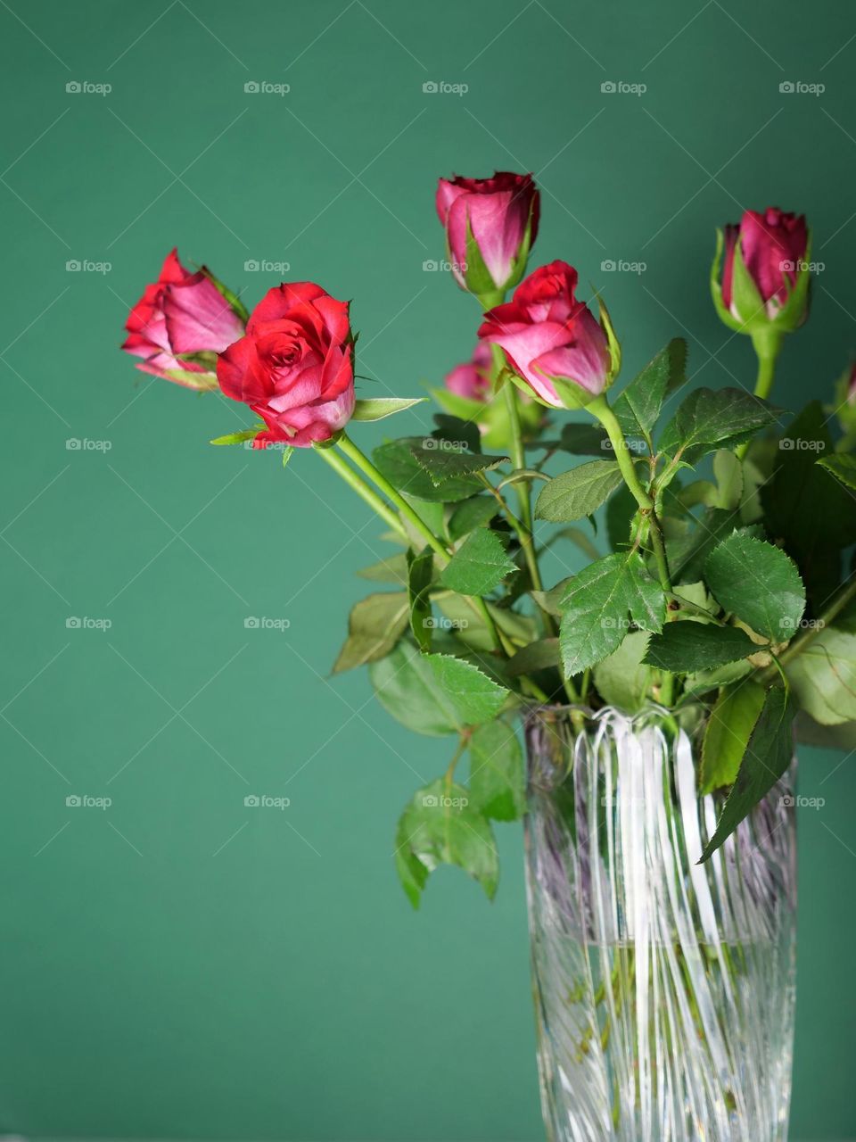 Vase with roses