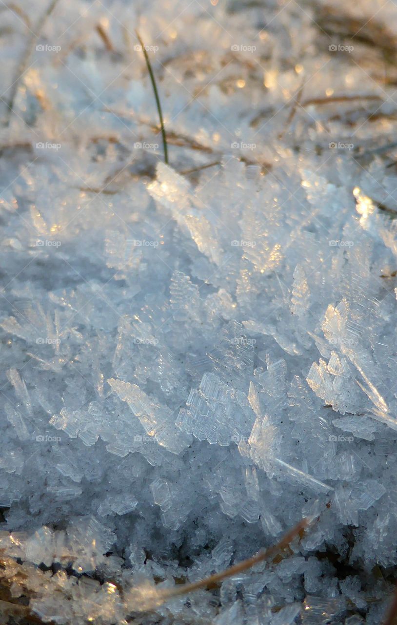 snow macro shot