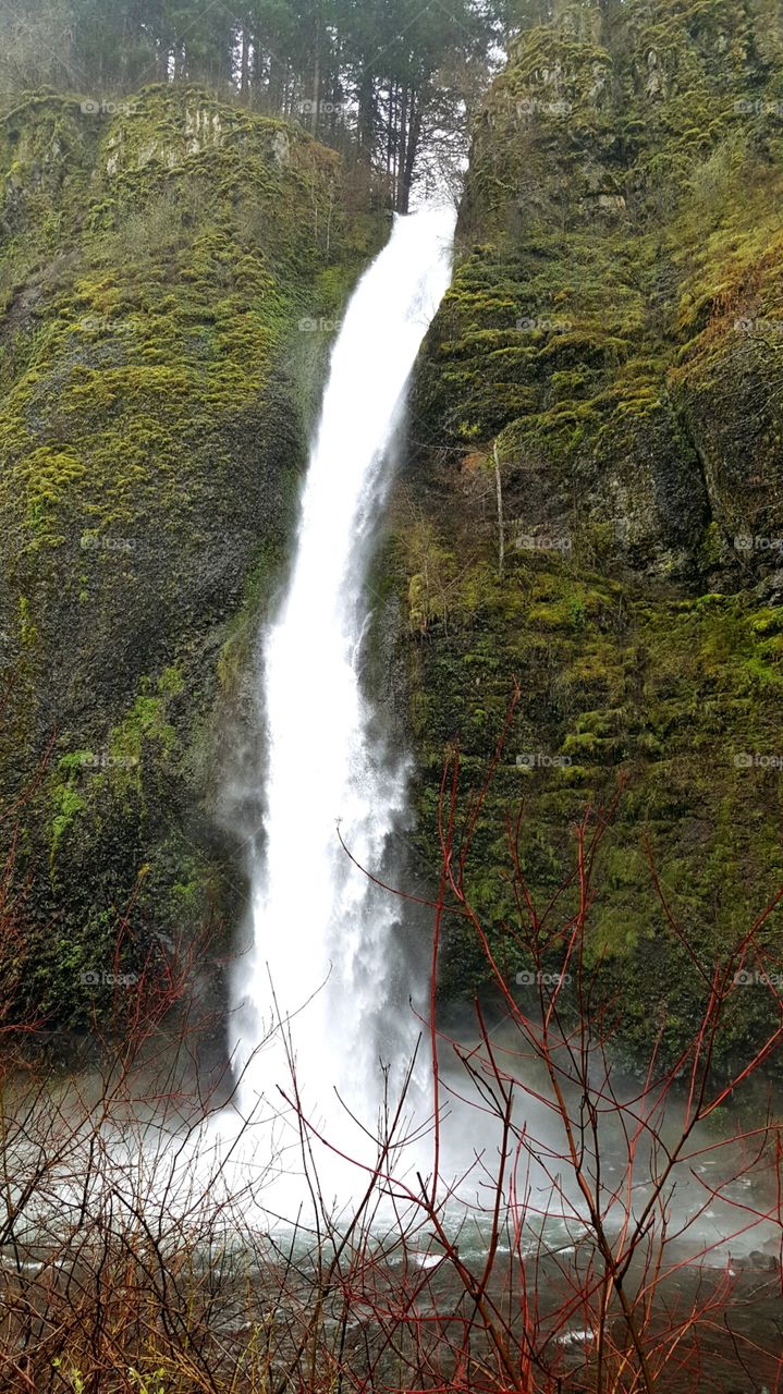 Horsetail Falls Oregon