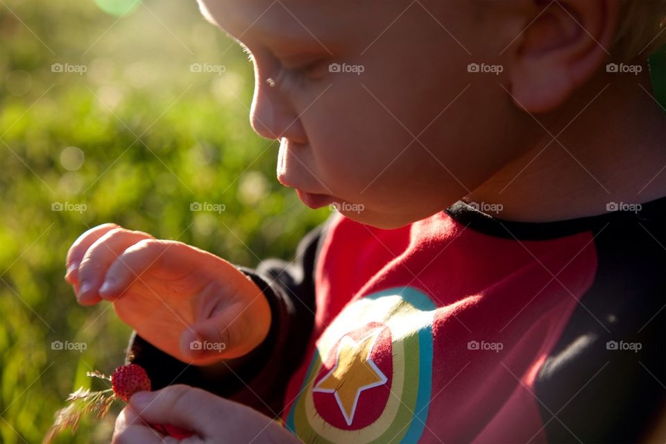 Eating a wild strawberry