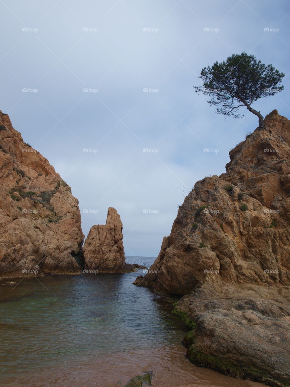 cave, sea and tree