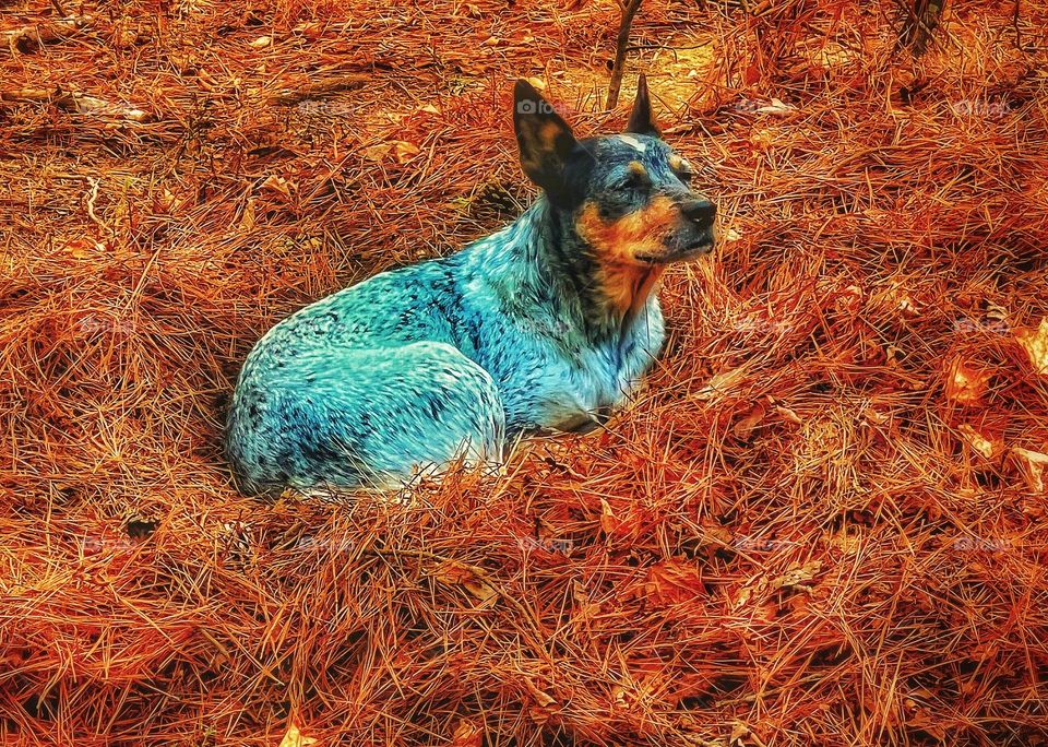 She stares off in the distance checking out everything going on. Curious is an understatement.