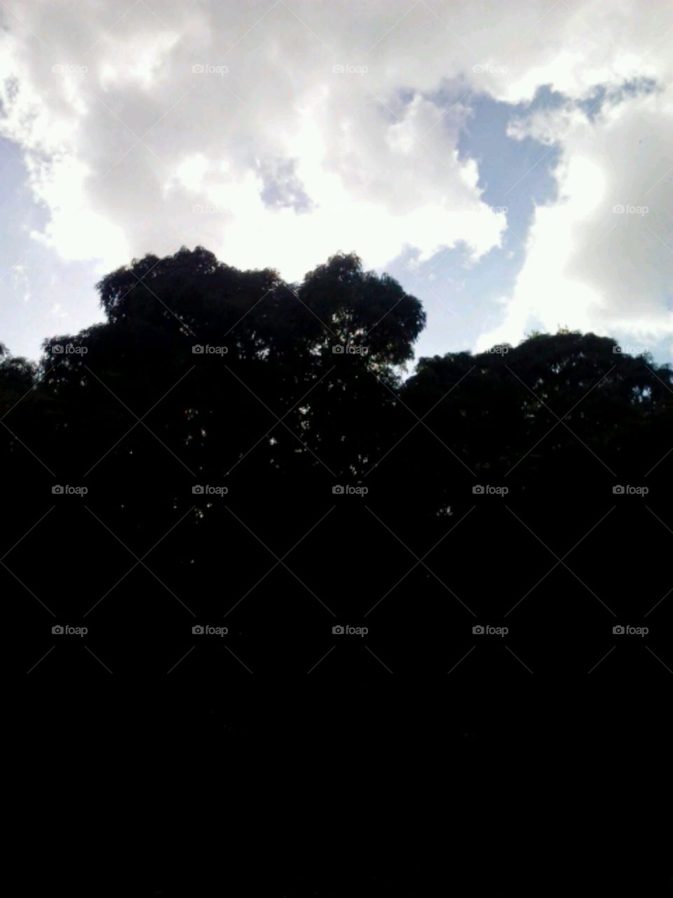 Sky, No Person, Landscape, Moon, Tree