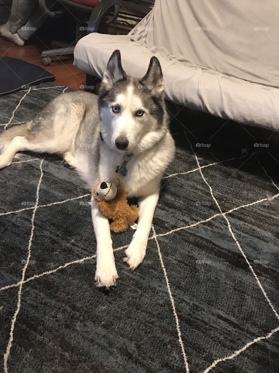 Orion and his current favorite toy