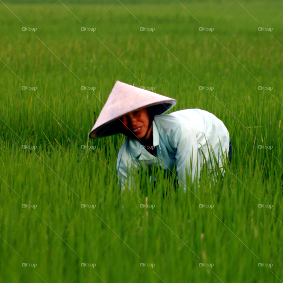 green rice hat asia by paulcowell