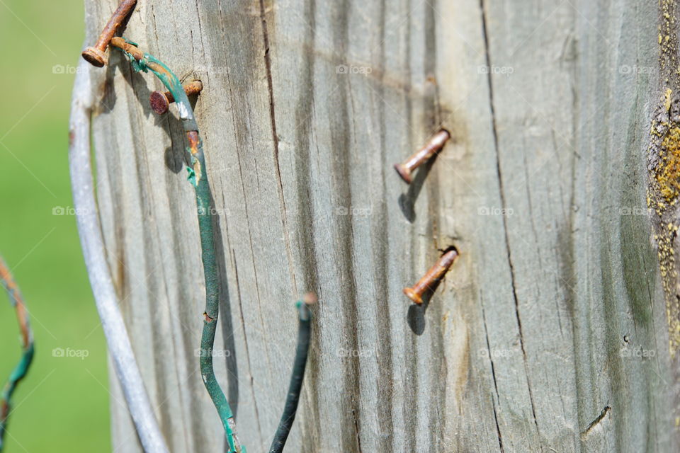 Macro of nails on an old wooden fence post 