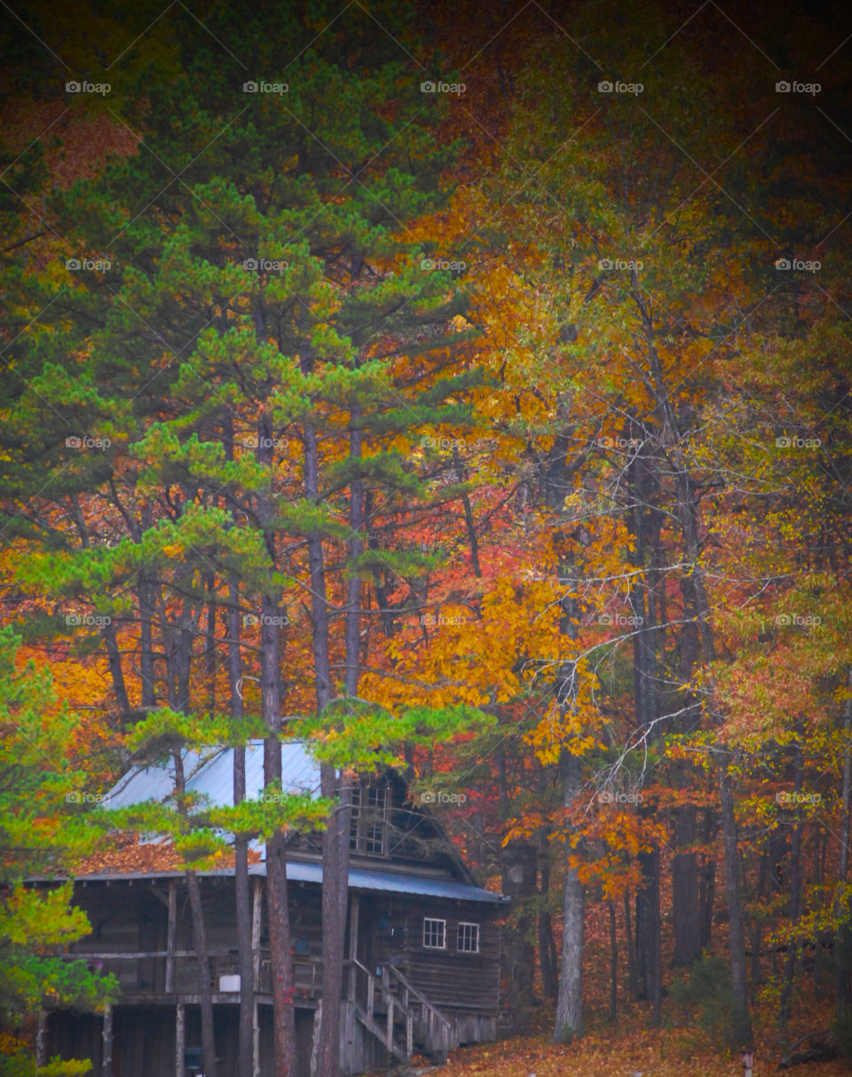 retreat mission5 yalla fall foliage by johngeer