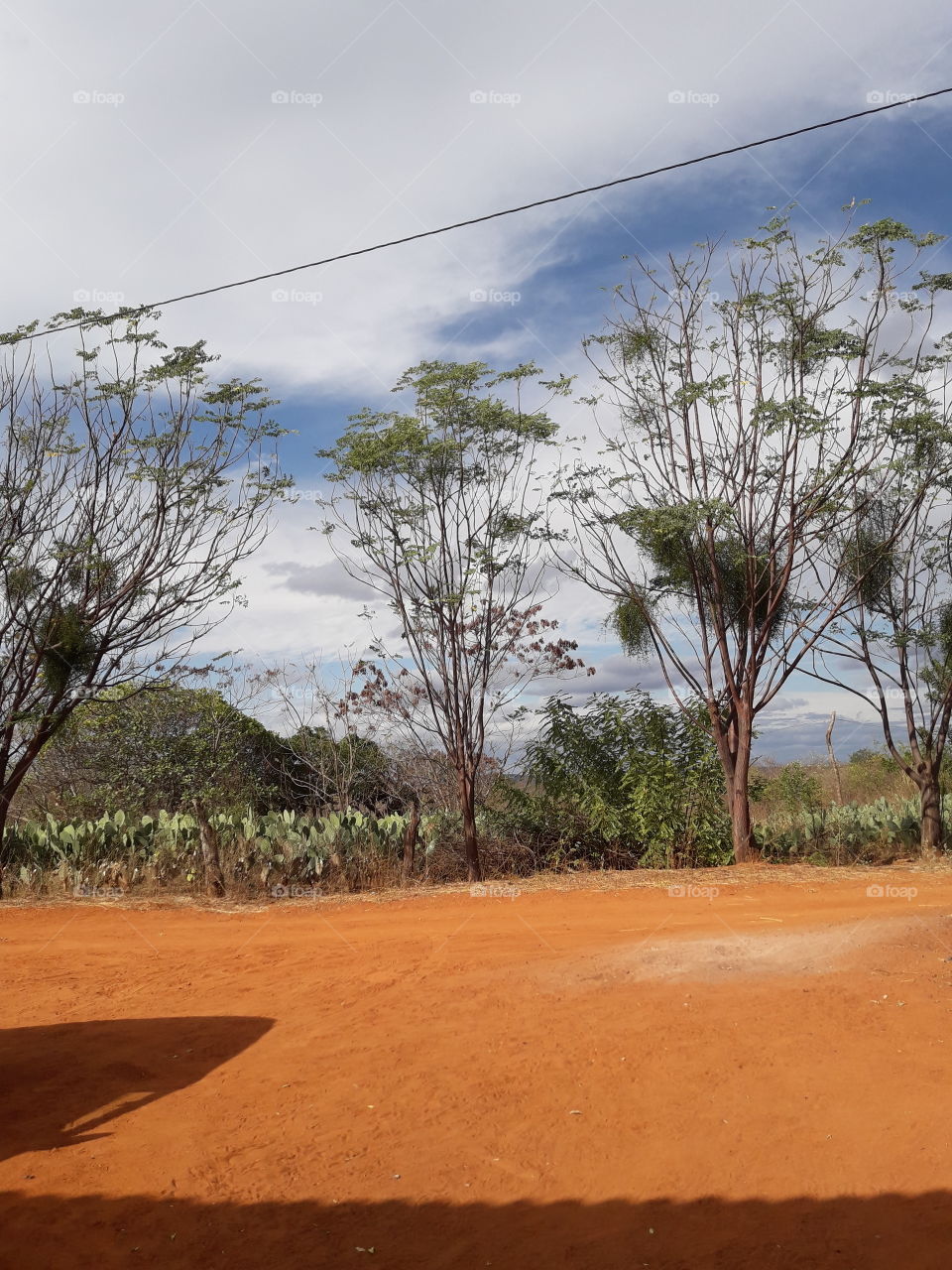 férias, paisagem Bahia