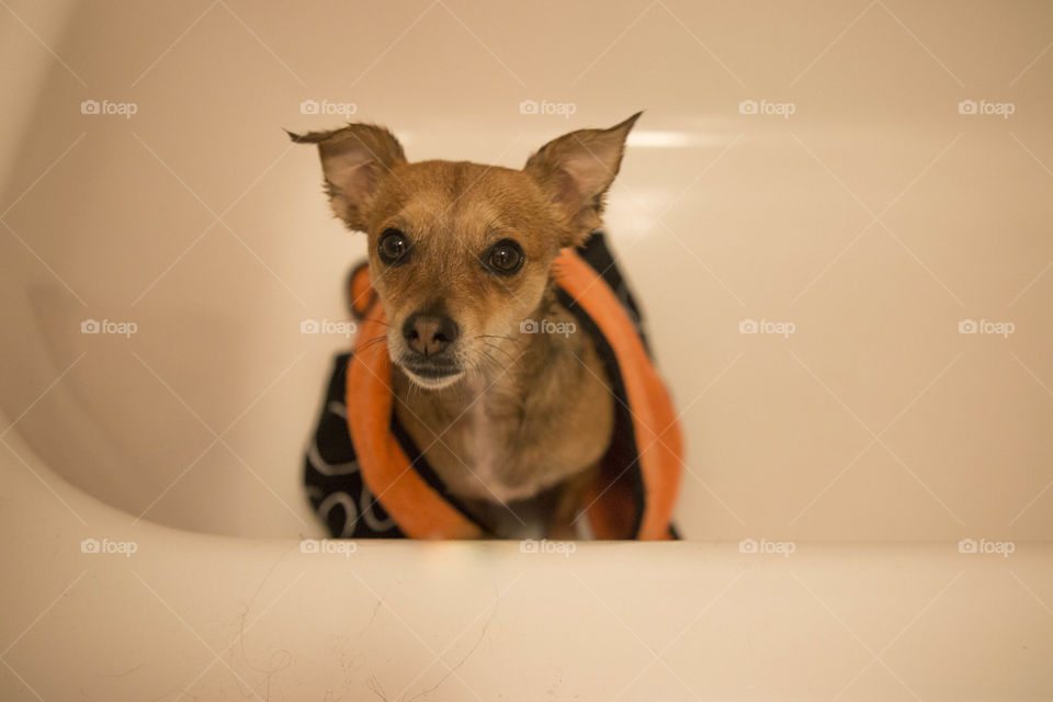 Drying off after a bath