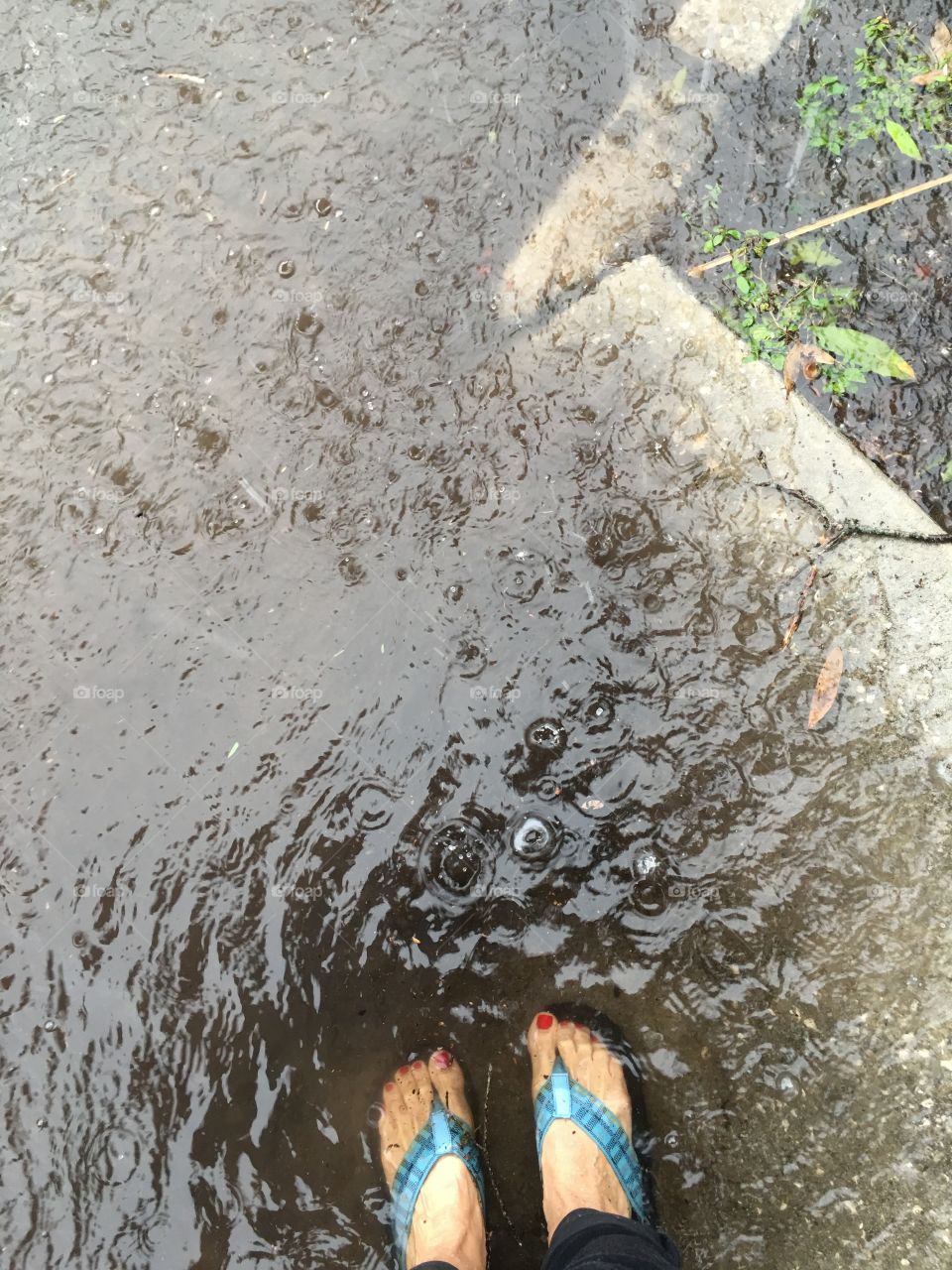 Standing in Hermine