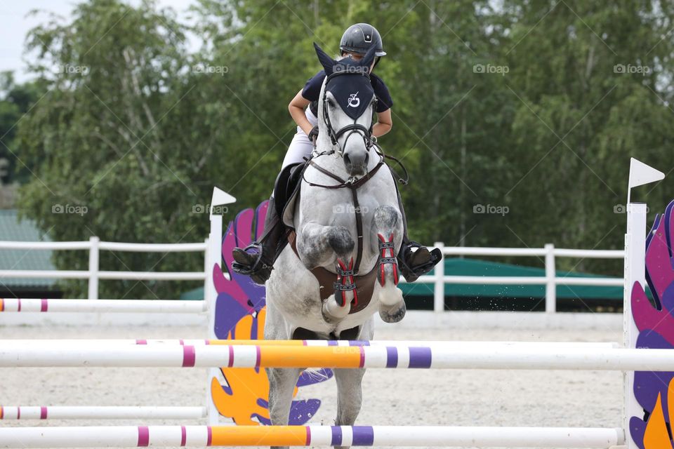 Horse and rider jumping on show jumping competition