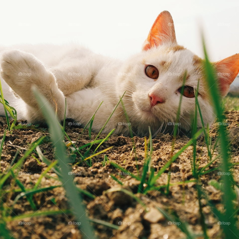 Are you actually getting a photo of me?