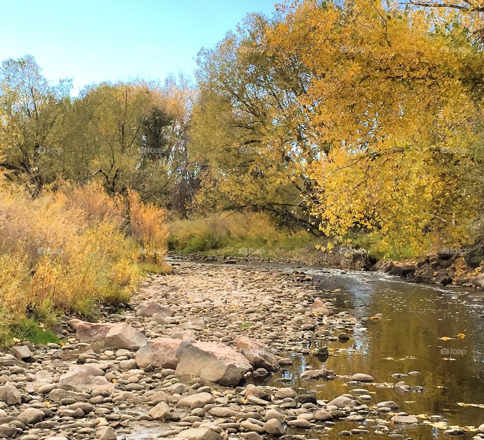 Clear Creek in Fall 