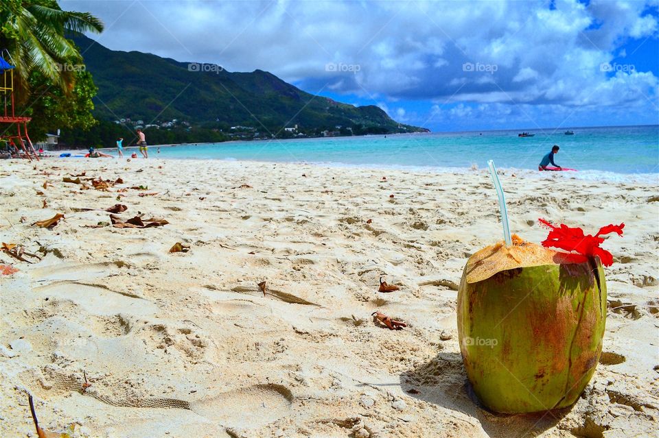Coconuts in the beach
