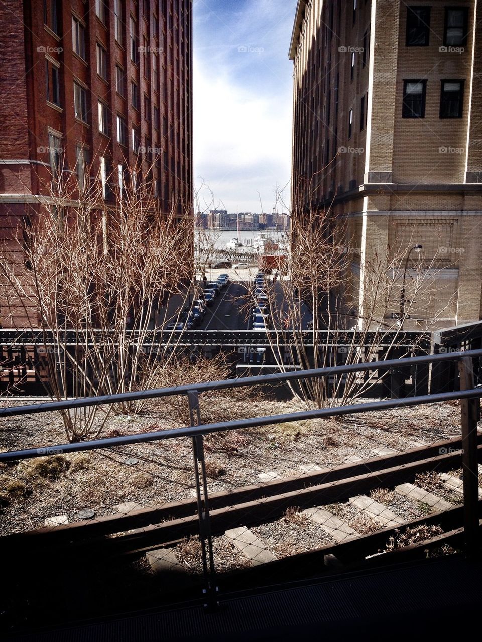 High line view