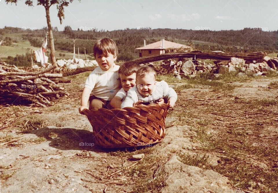 Three kids in a basket in a sunny country morning over 40 years ago