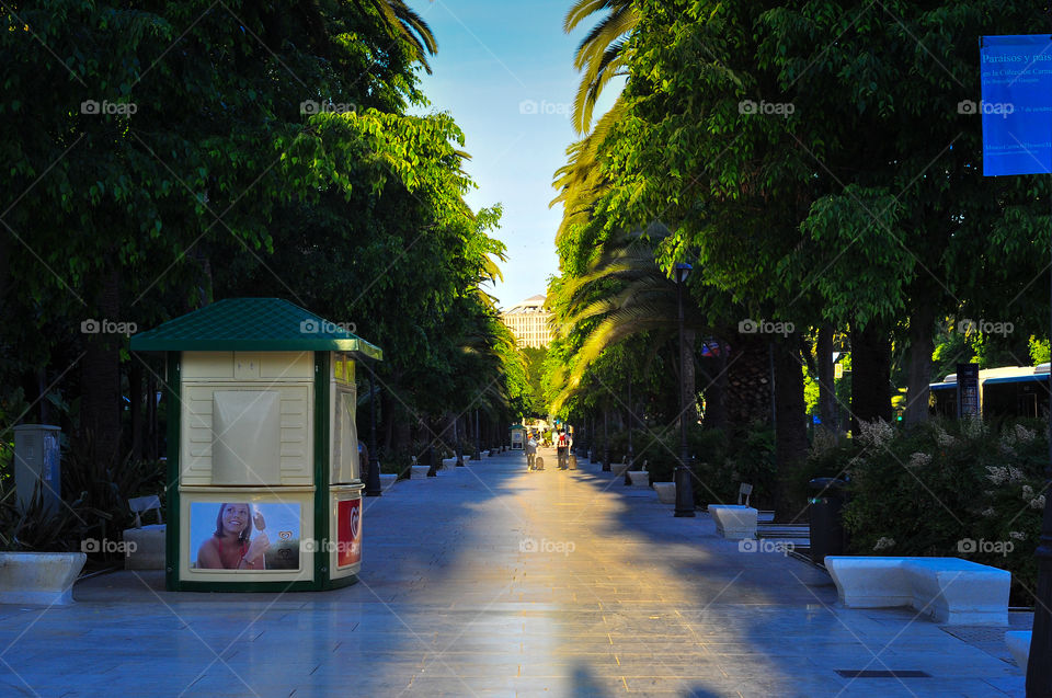 Malaga city center park in the morning