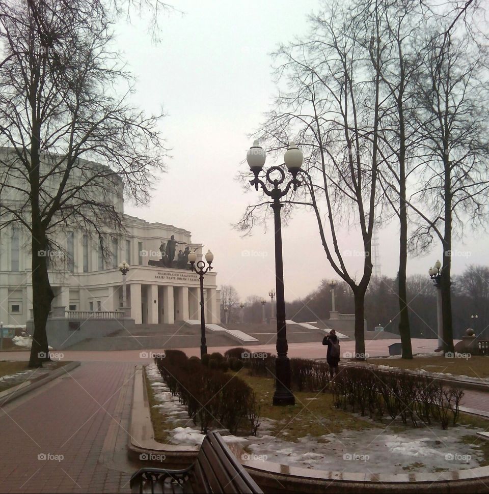 Tree, No Person, Architecture, City, Street