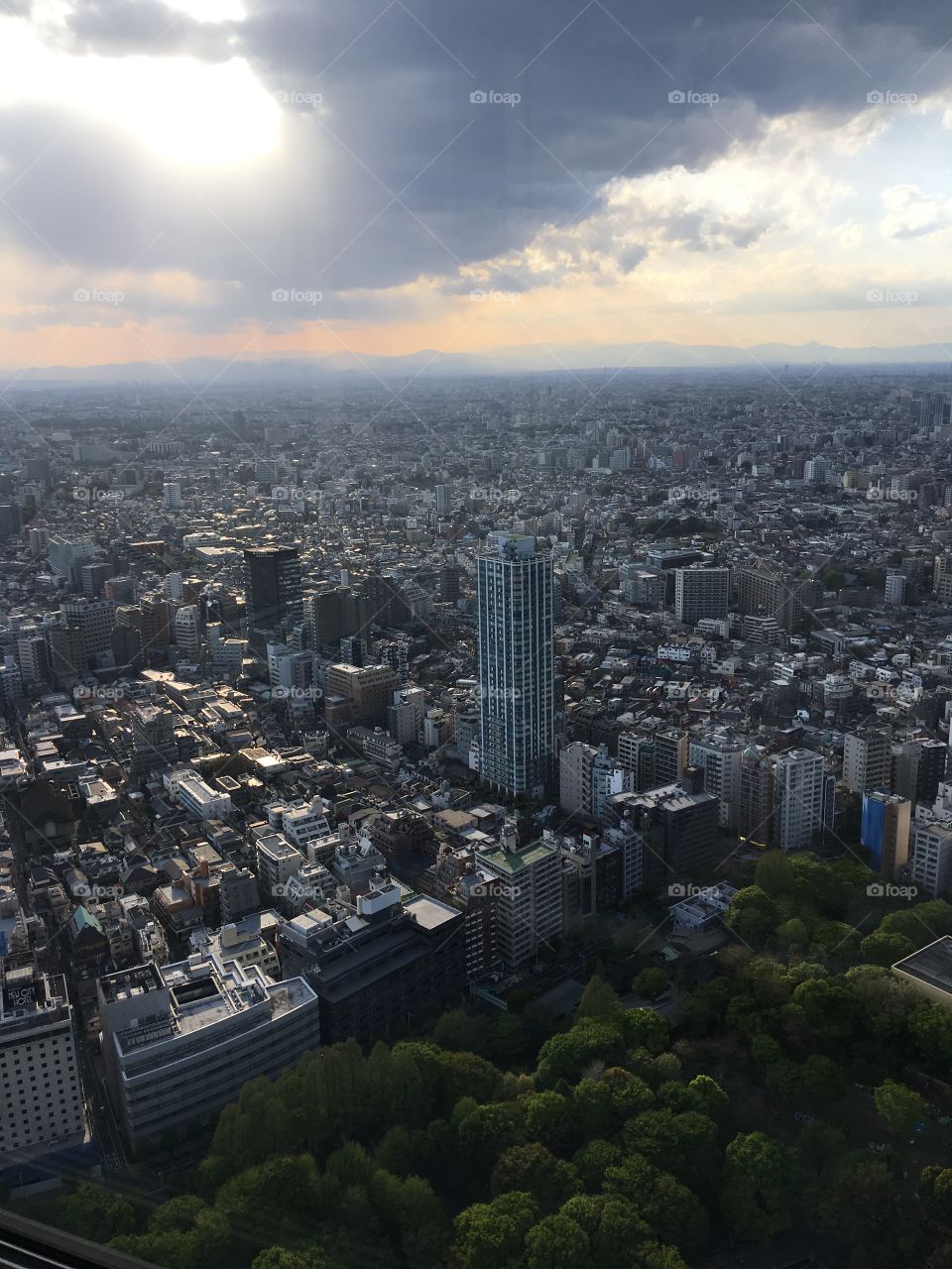 Nice view from Tokyo Metropolitan Government Building Observatories