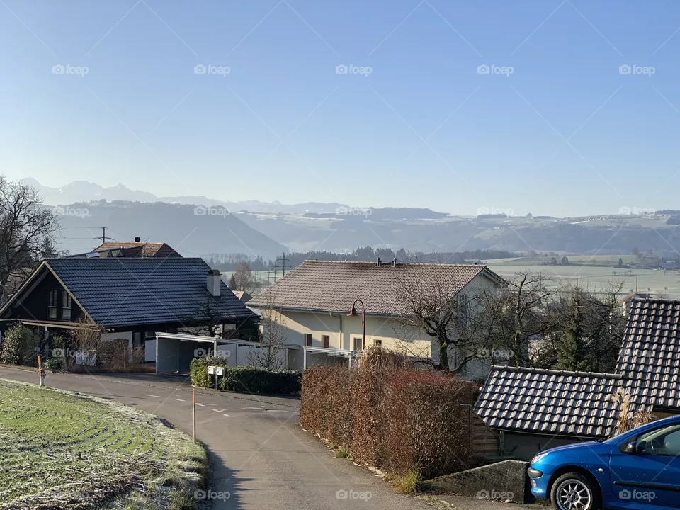 Swiss 