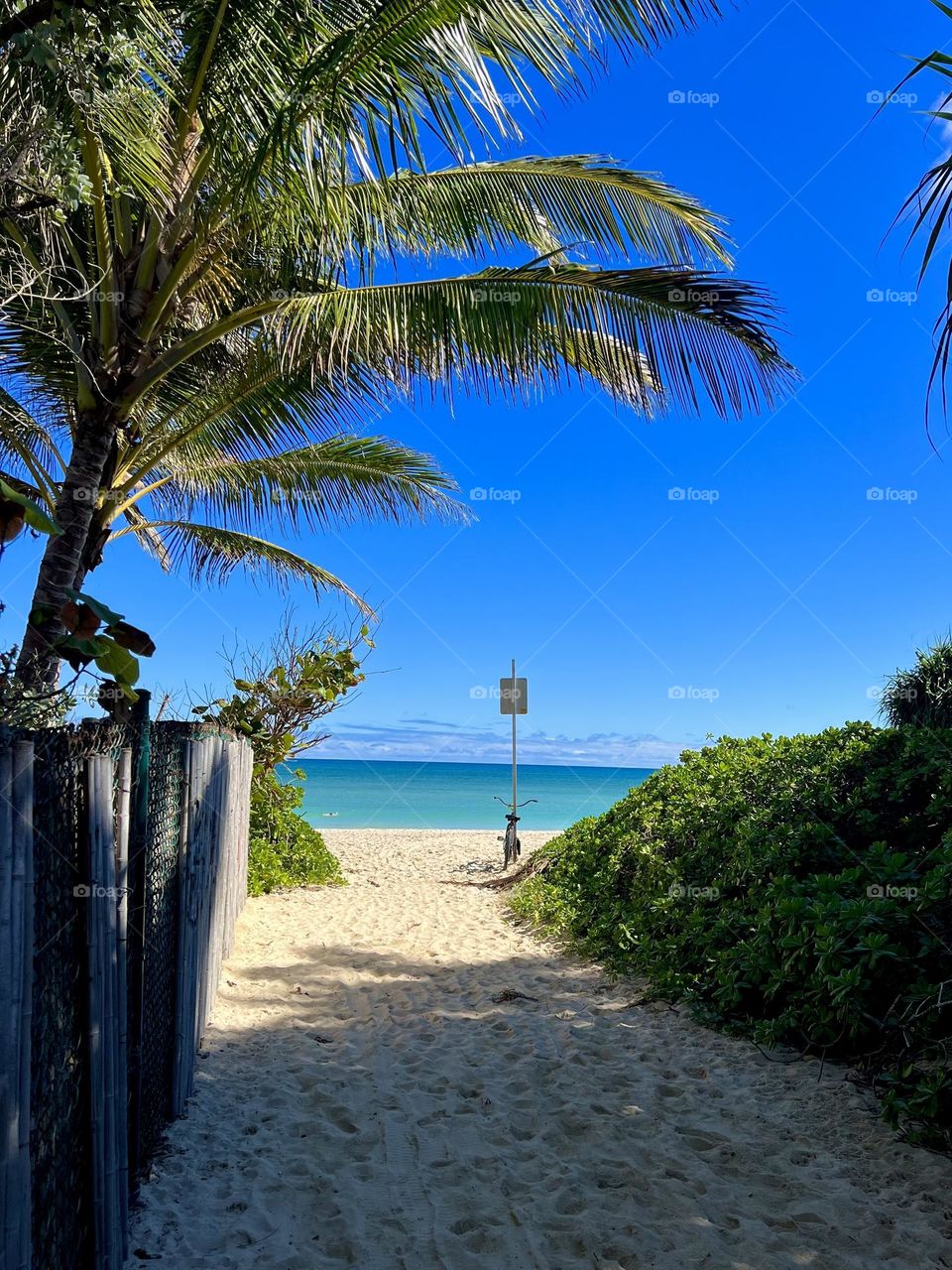 Walking on a pathway to Kailua Beach in Kailua Hawaii