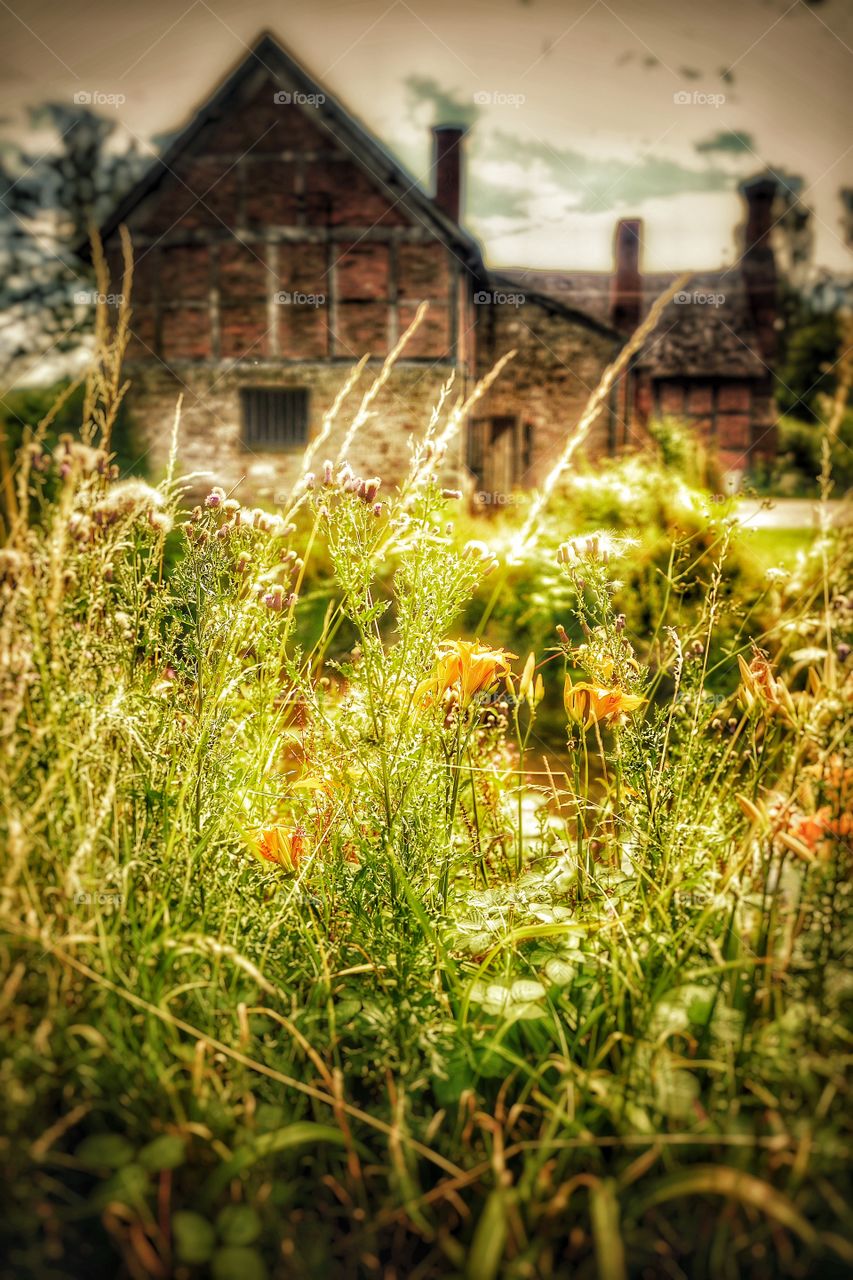 Garden. Cottage