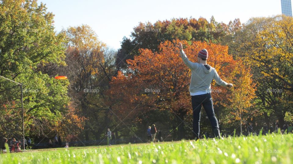 Man with Striped Beanie Throwing an Orange Frisbee with His Friends in a City Park on a Nice Sunny Autumn Day. Green Grass & Colorful Tree with Blue Skies