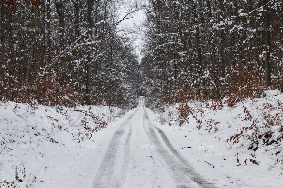 Snowy road into the forest in the winter with trees on both sides and tire tracks.