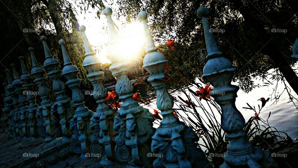 Reflection of The Sunrise