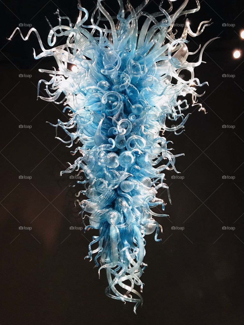 Gorgeous displays of Chihuly Glass with black backgrounds make the colors in the glass really stand out! 