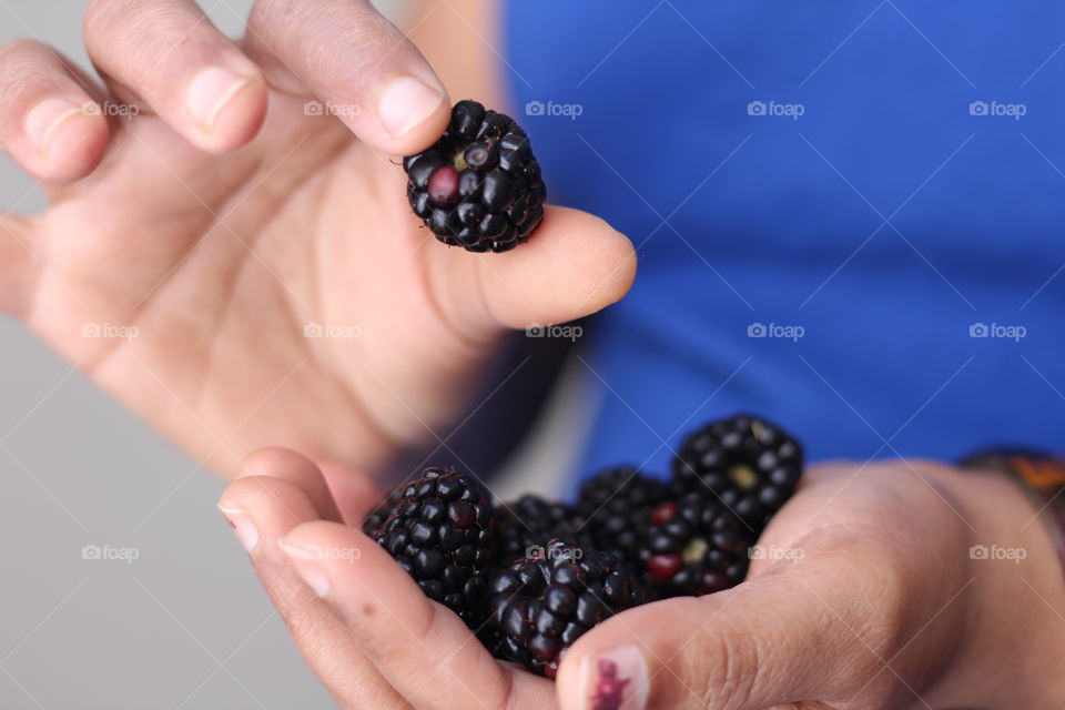 Blackberries are healthy eating habit 