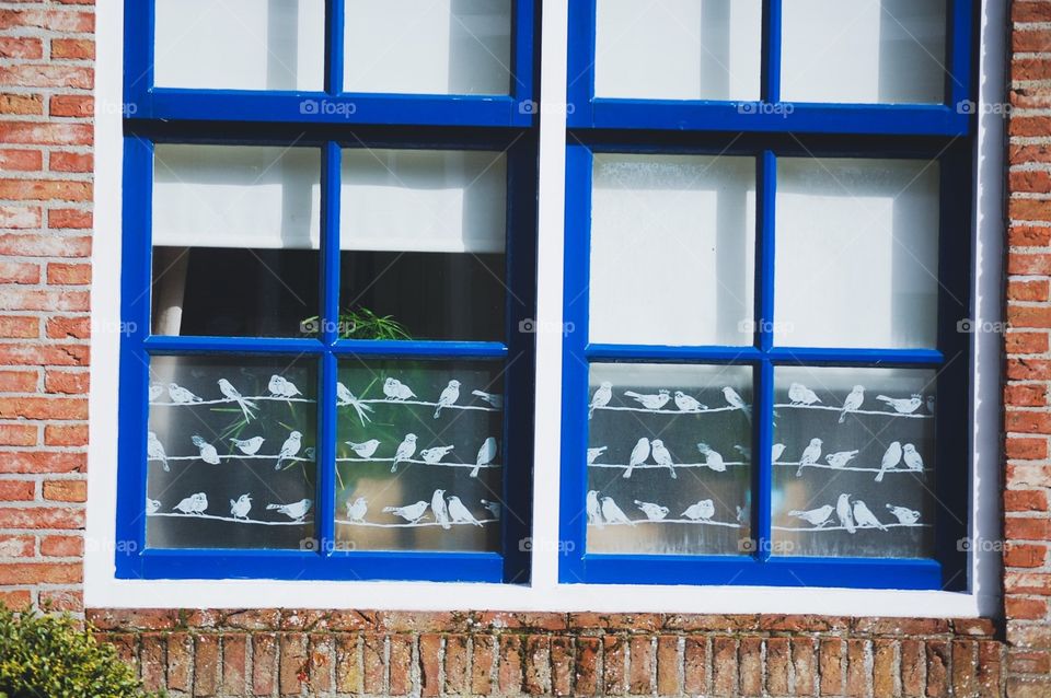 Hand painted birds on the window of a house in the Netherlands. 