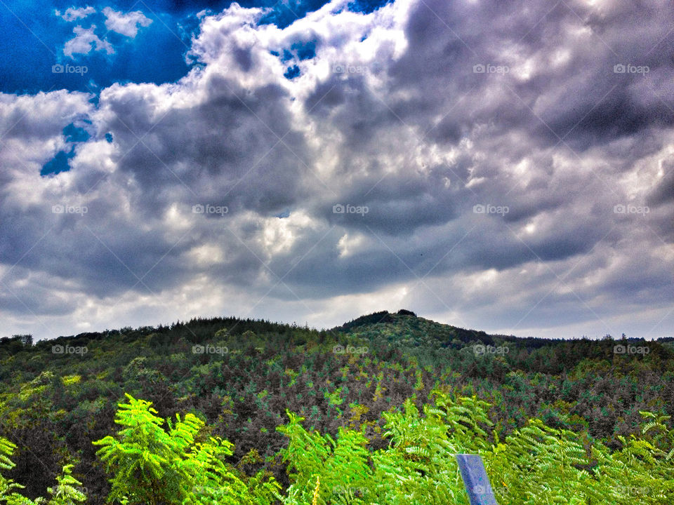 landscape sky green plants by penguincody