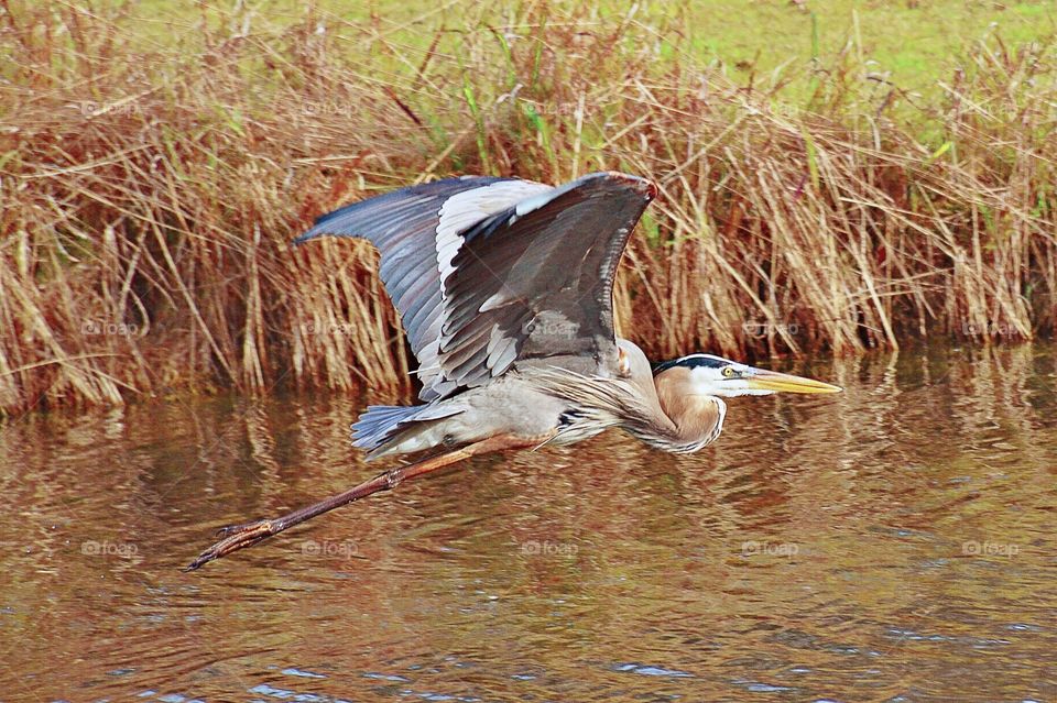 Hilton Head Island SC