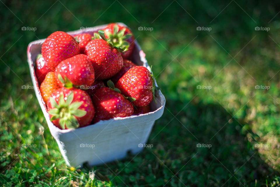 strawberries in a box.