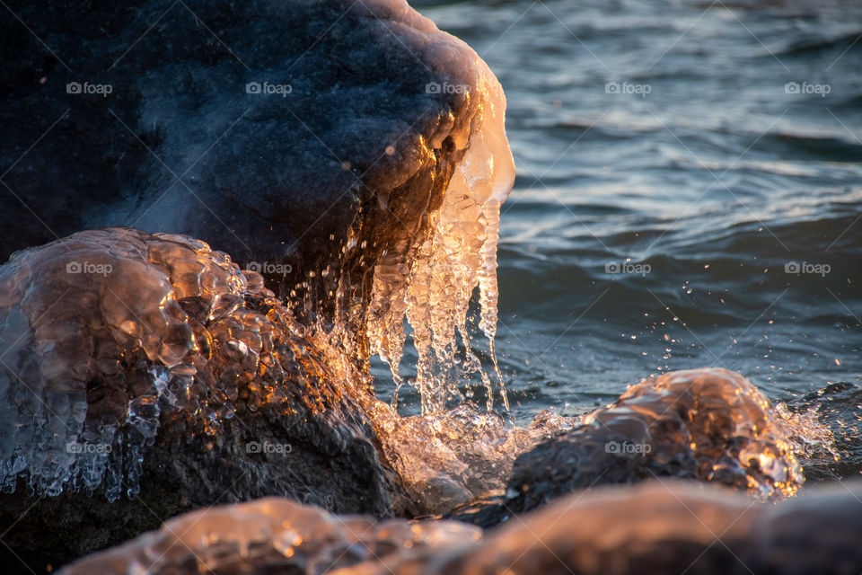 Morning Sunlight on Ice