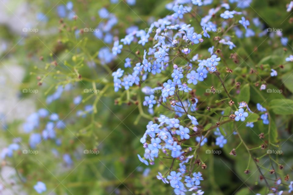 Blueness in loads