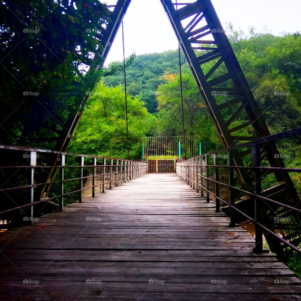 a bridge in the park zone